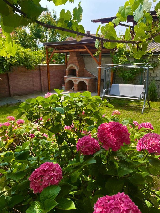Holiday Home Esku Orşova 외부 사진